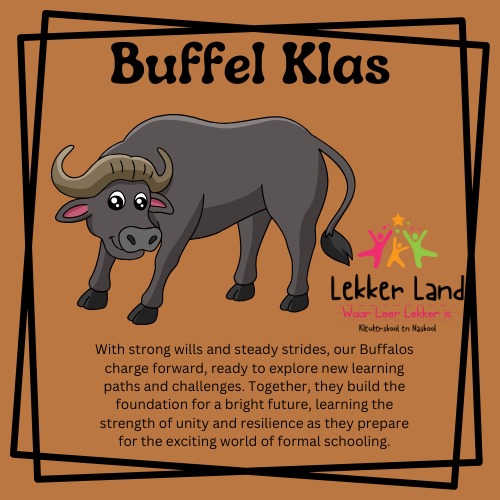 Buffalo Class